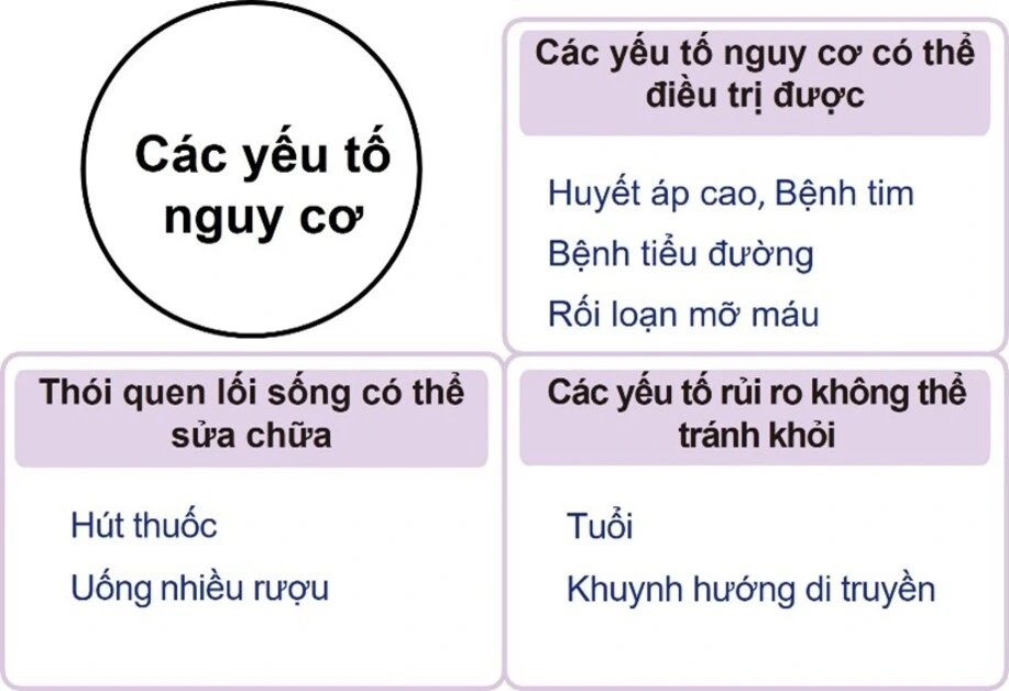 Các yếu tố và nguy cơ gây đột quỵ 