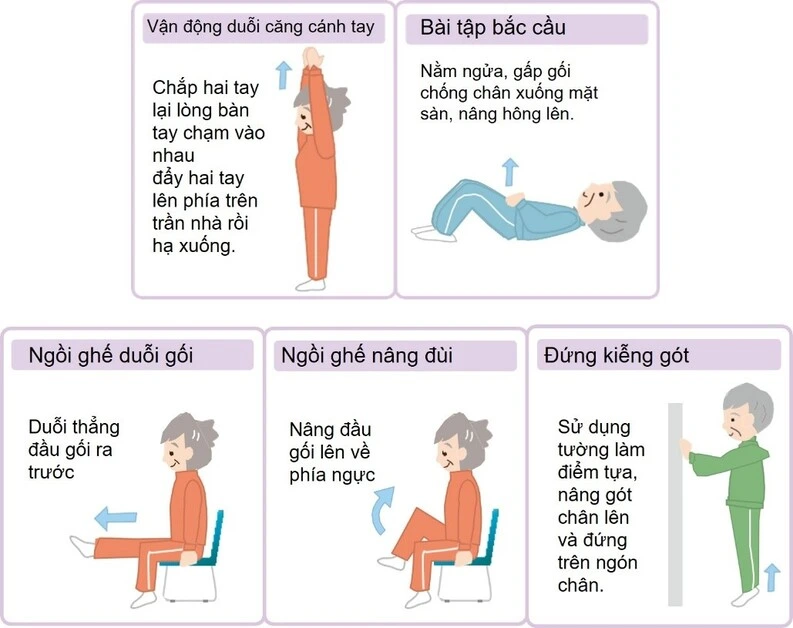 Hình 5. Một số bài tập vận động cơ bản