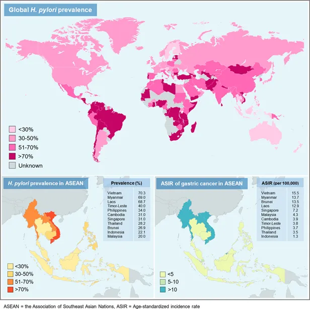 Hình 2. Tỷ lệ nhiễm vi khuẩn H. pylori trong dân số