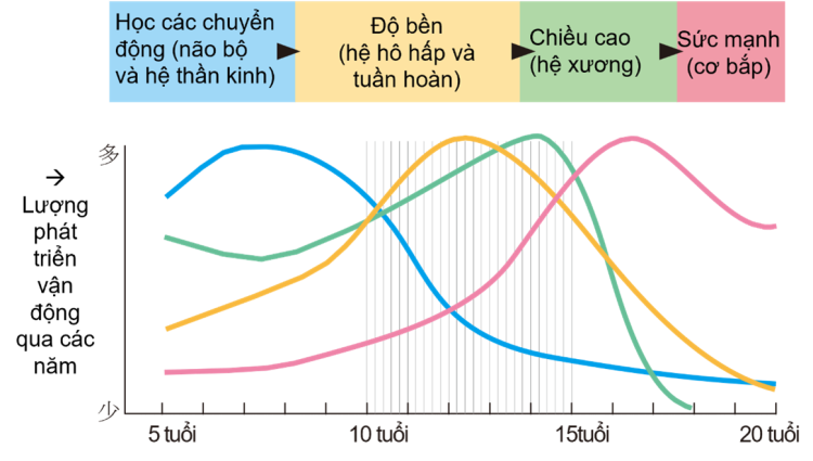 Đặc điểm phát triển vận động của trẻ em