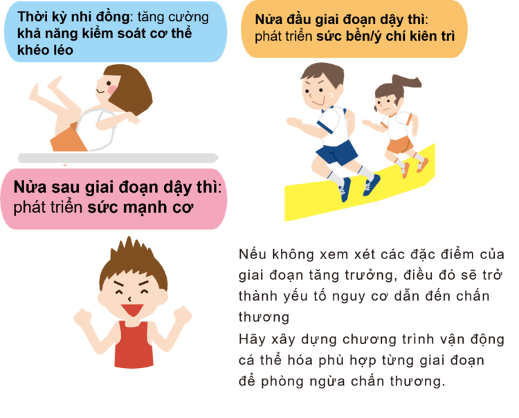 Hình thức tập luyện tương ứng với sự phát triển vận động