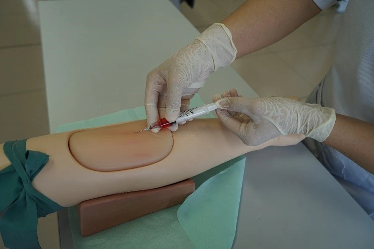 Mô hình tiêm bắp sâu