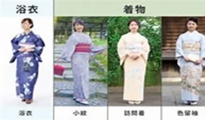 gioi-thieu-ve-trang-phuc-truyen-thong-cua-nhat-ban-kimono-1