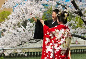 Nét tương đồng văn hóa trong lễ hội năm mới Việt Nam – Nhật Bản: Từ bánh chưng đến bánh dày mochi