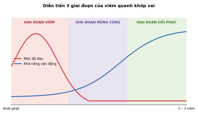 Hình 2. Diễn tiến mức độ đau và khả năng vận động qua 3 giai đoạn