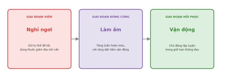 Hình 4. Nguyên tắc điều trị theo từng giai đoạn